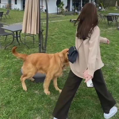 将门风云