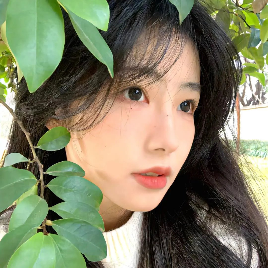异兽2019
